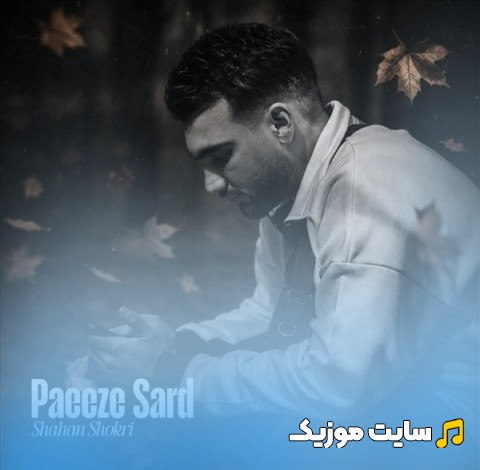 آهنگ جدید شاهان شکری با اسم پاییز سرد «Shahan Shokri» با بهترین کیفیت